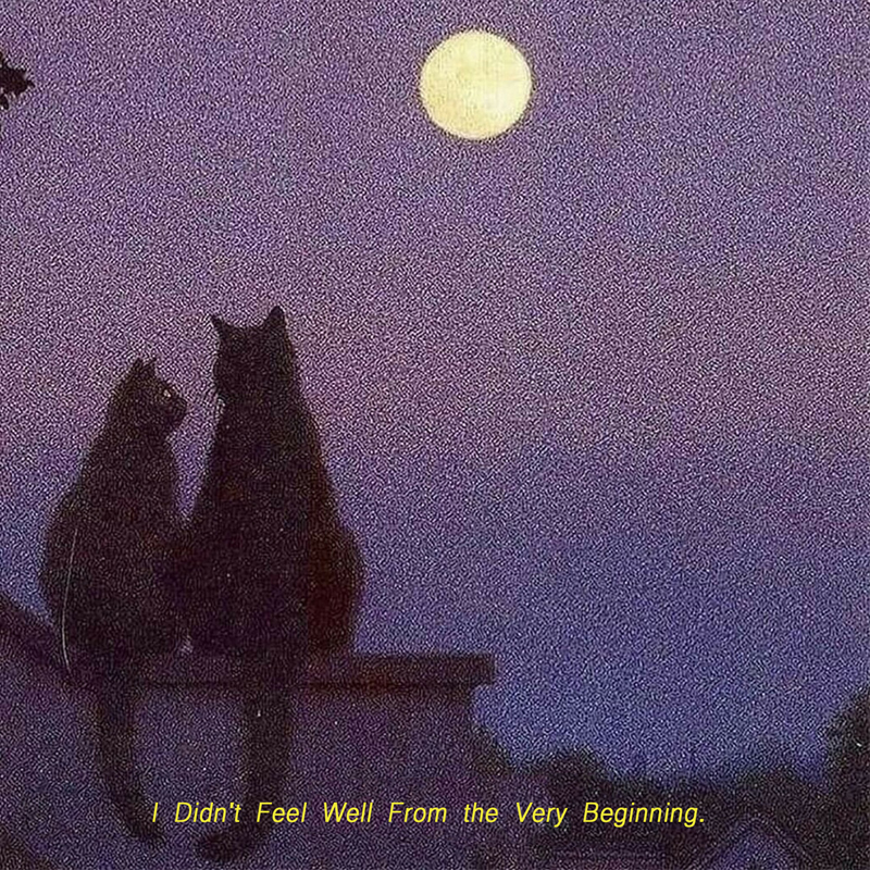I Didn't Feel Well from the Very Beginning Album